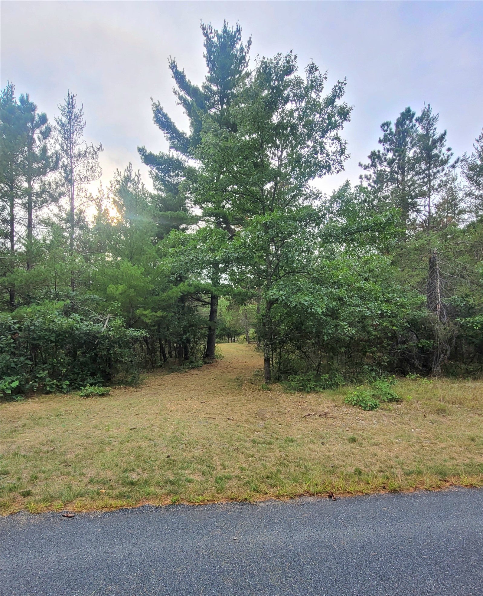 0 Blueberry Road Gordon, WI 54838 - Photo 1 of 35 Gallery Image 1