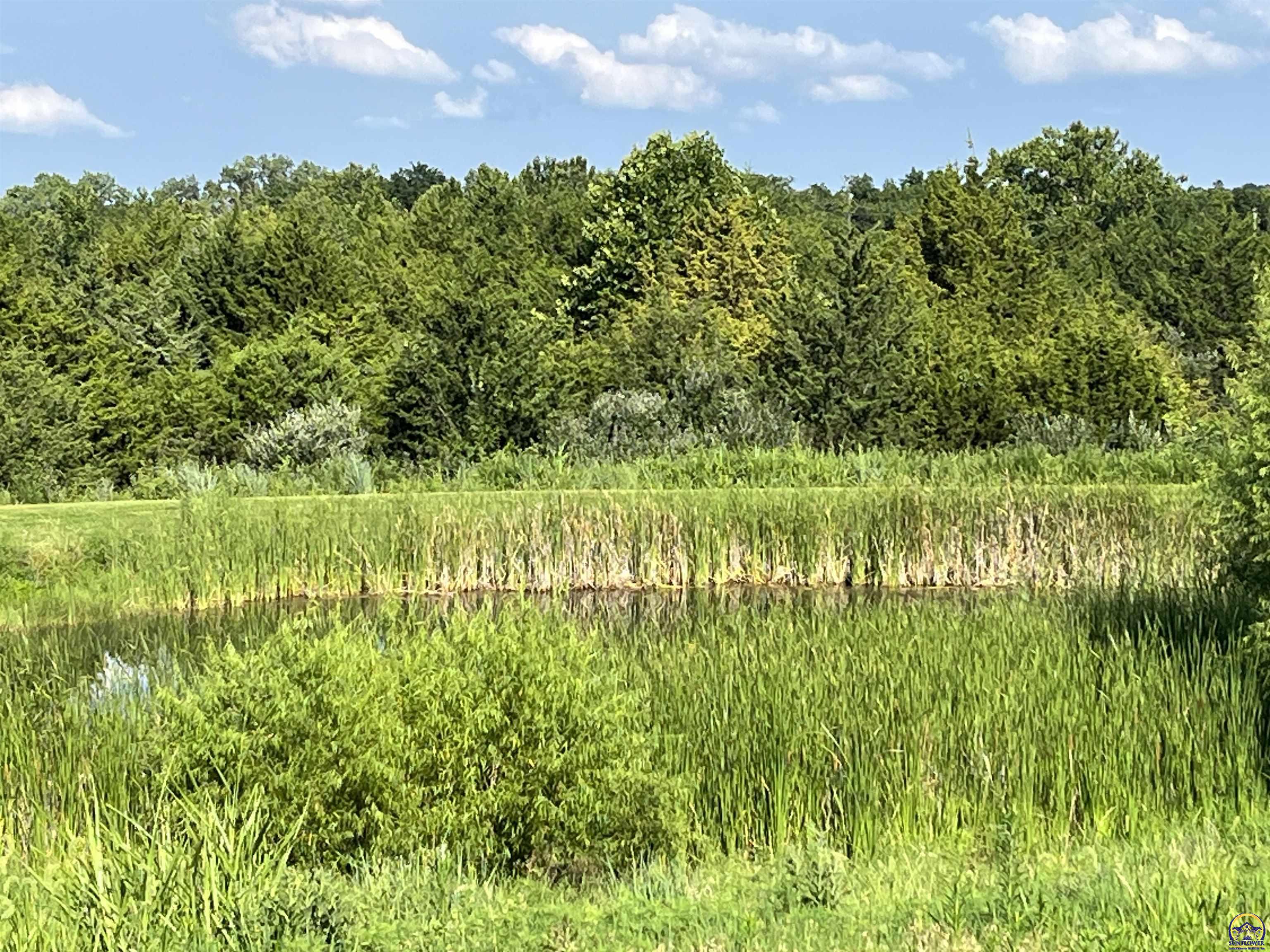 529 East 1700th Road Baldwin City, KS 66006 - Photo 85 of 97