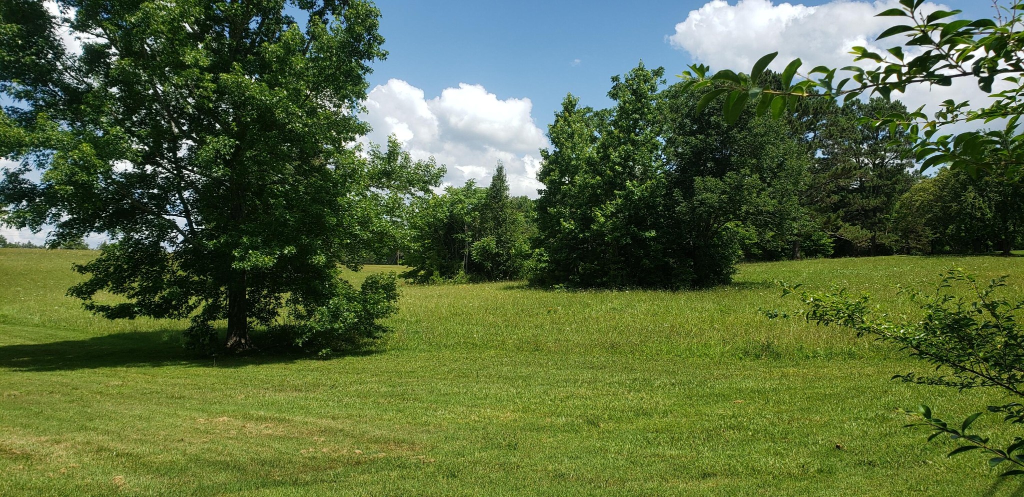2 White Oak Valley Road Northwest Cleveland, TN 37312 - Photo 1 of 4 Gallery Image 1