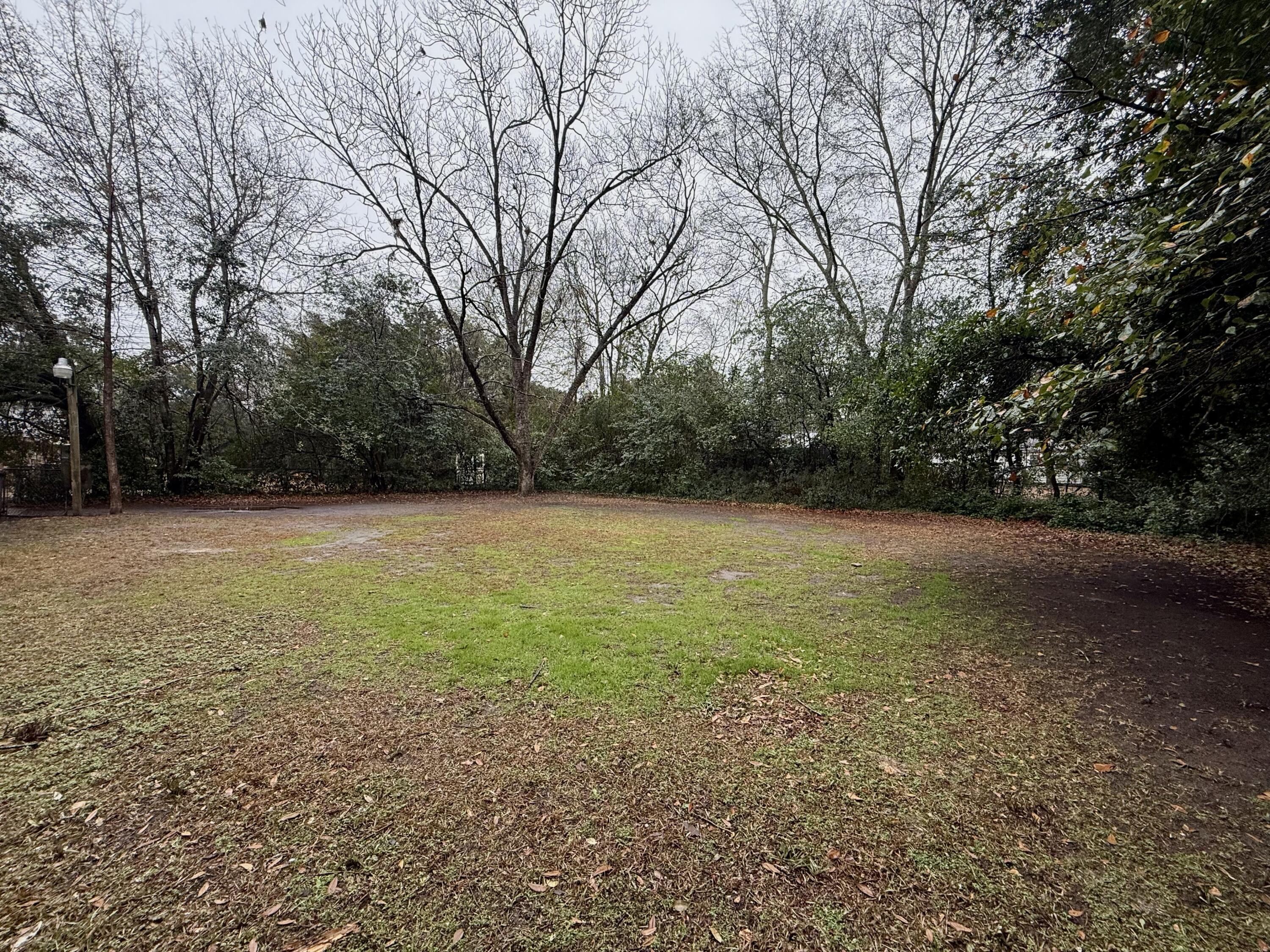 6 Thomas Drive Sumter, SC 29150 - Photo 28 of 29 Spacious backyard