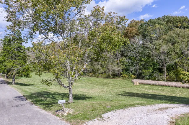 a backyard of a house with lots of green space