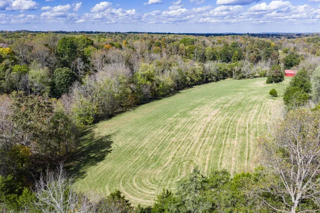 a view of a yard with a tree