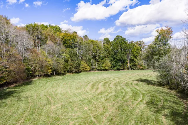 a view of a yard with an trees