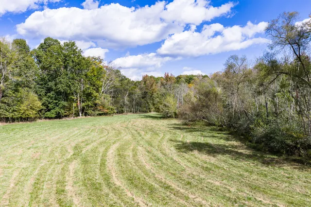 a view of a yard with large trees
