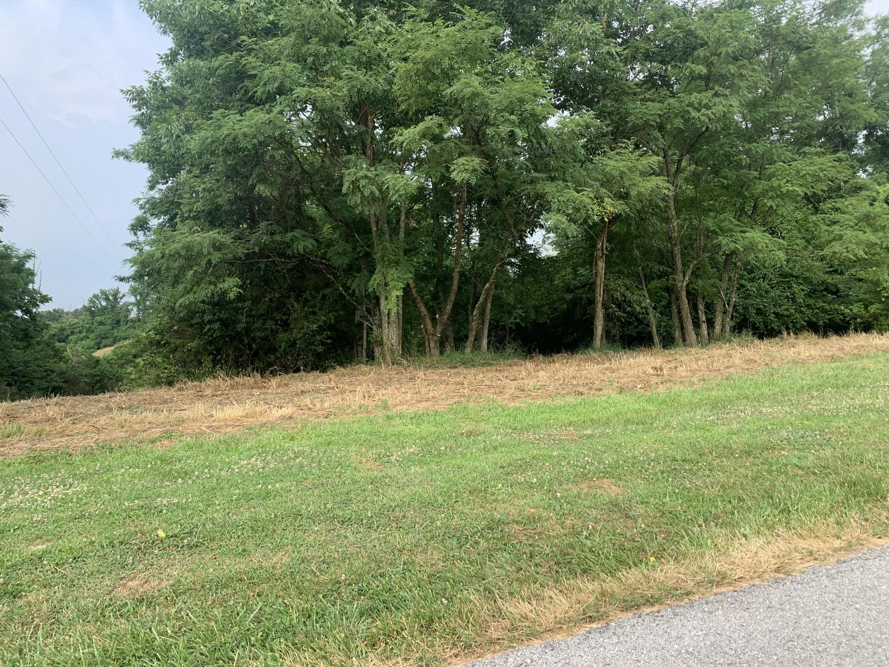 2.2-acres Kennedy Ridge Road Falmouth, KY 41040 - Photo 2 of 11 Gallery Image 2