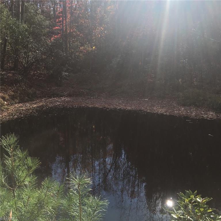 Tbd Sweetwater Road Boomer, NC 28606 - Photo 1 of 8 Gallery Image 1