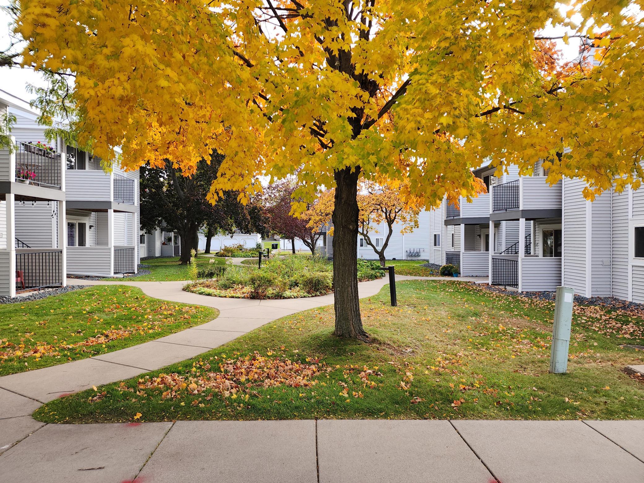 1721 Fulham Street, Unit F Lauderdale, MN 55113 - Photo 27 of 55