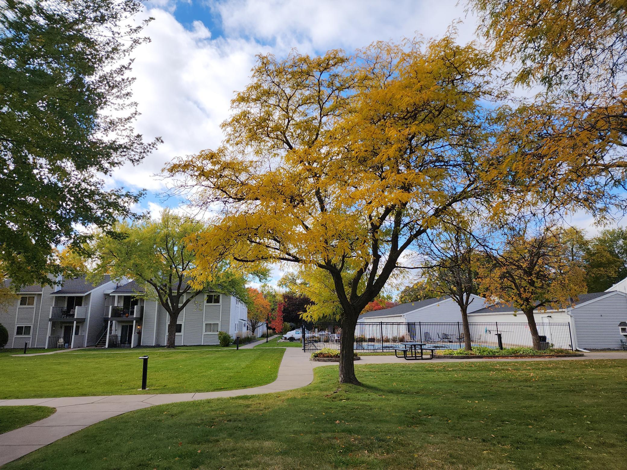 1721 Fulham Street, Unit F Lauderdale, MN 55113 - Photo 29 of 55