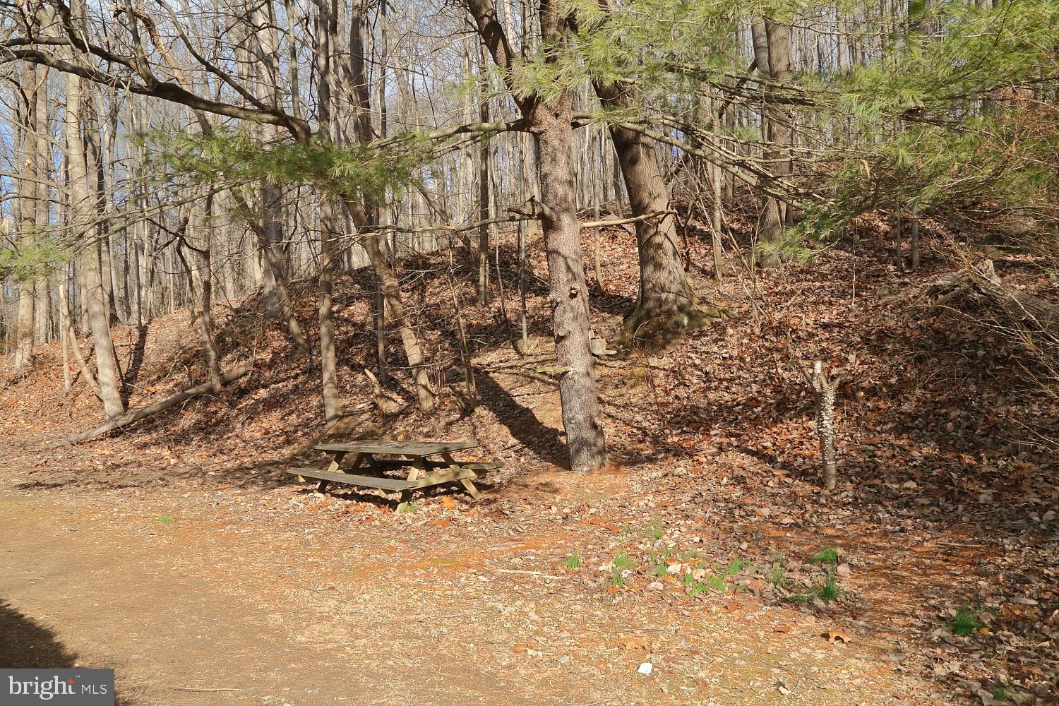 3221 Rocks Chrome Hill Road Jarrettsville, MD 21084 - Photo 6 of 34 Gallery Image 6