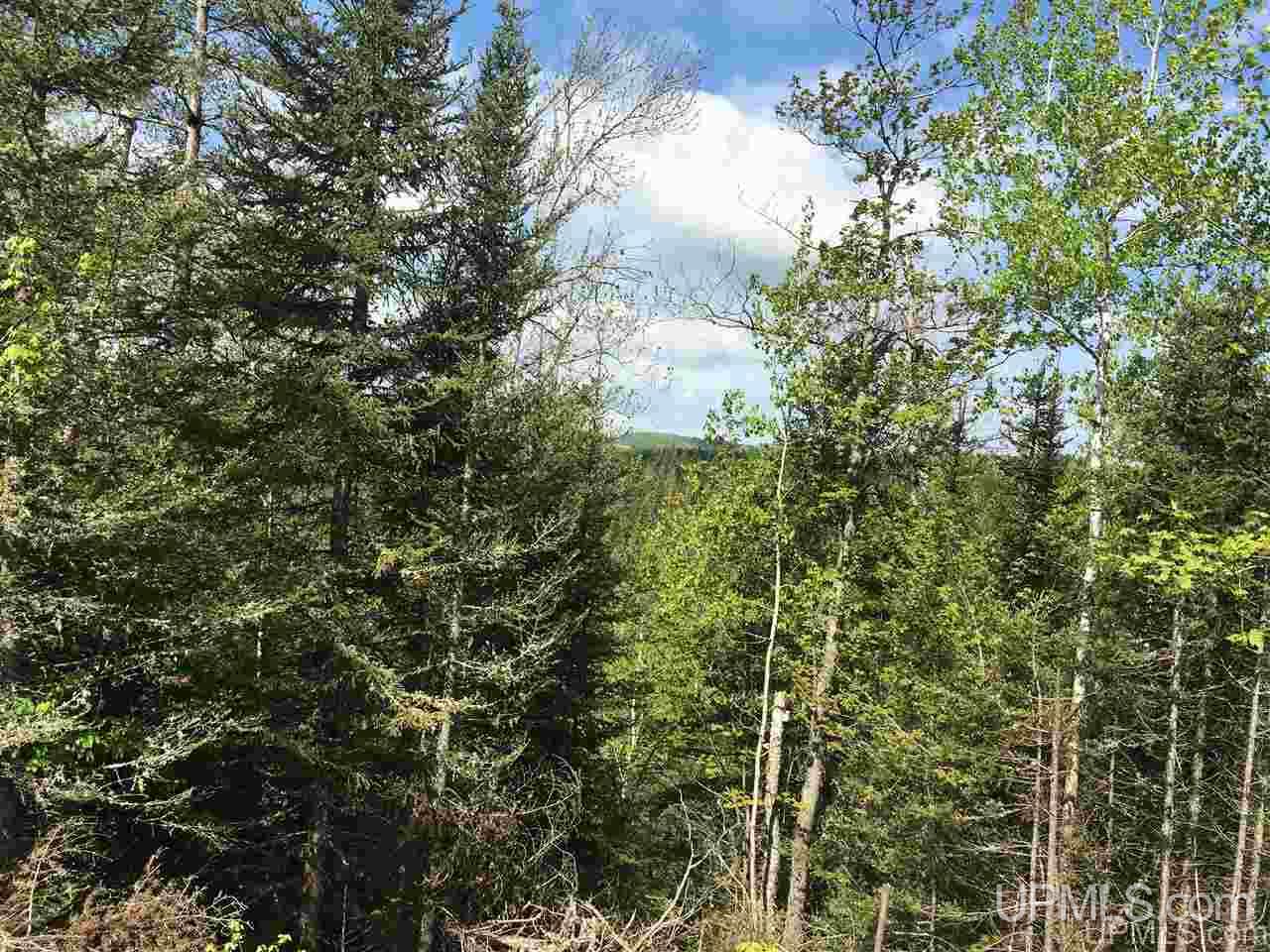 80-acres 80-acres Off Red Road Negaunee, MI 49866 - Photo 8 of 8