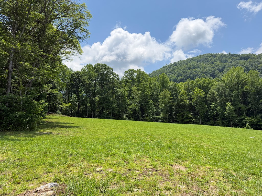 1446 Muskrat Creek Road Hayesville, NC 28904 - Photo 85 of 108