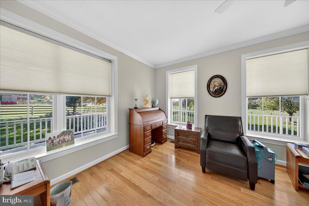 239 Mt Carmel Road Luray, VA 22835 - Photo 18 of 116 a living room with furniture and a window