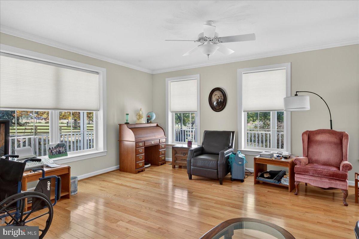 239 Mt Carmel Road Luray, VA 22835 - Photo 20 of 116 a living room with furniture and a fireplace