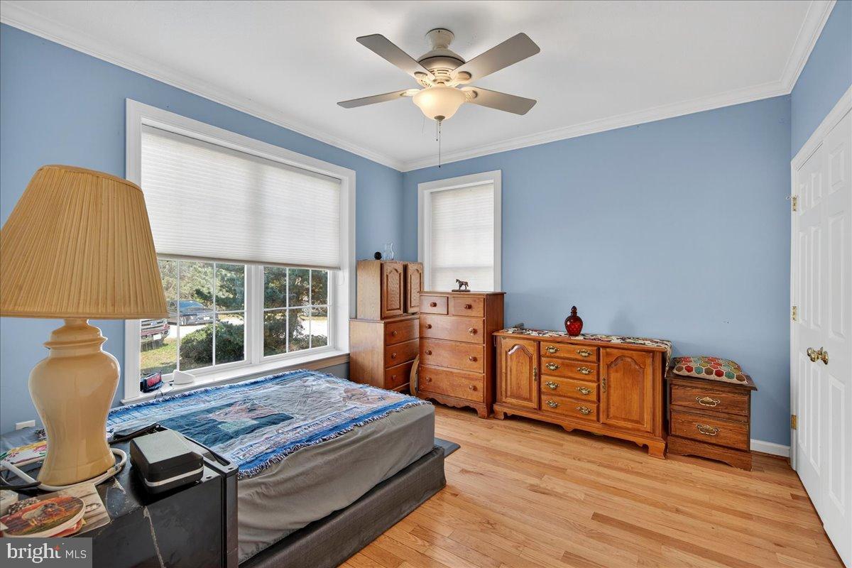 239 Mt Carmel Road Luray, VA 22835 - Photo 30 of 116 Bright and inviting blue bedroom retreat.