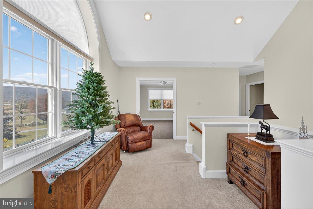 239 Mt Carmel Road Luray, VA 22835 - Photo 33 of 116 a living room with furniture a flat screen tv and a window