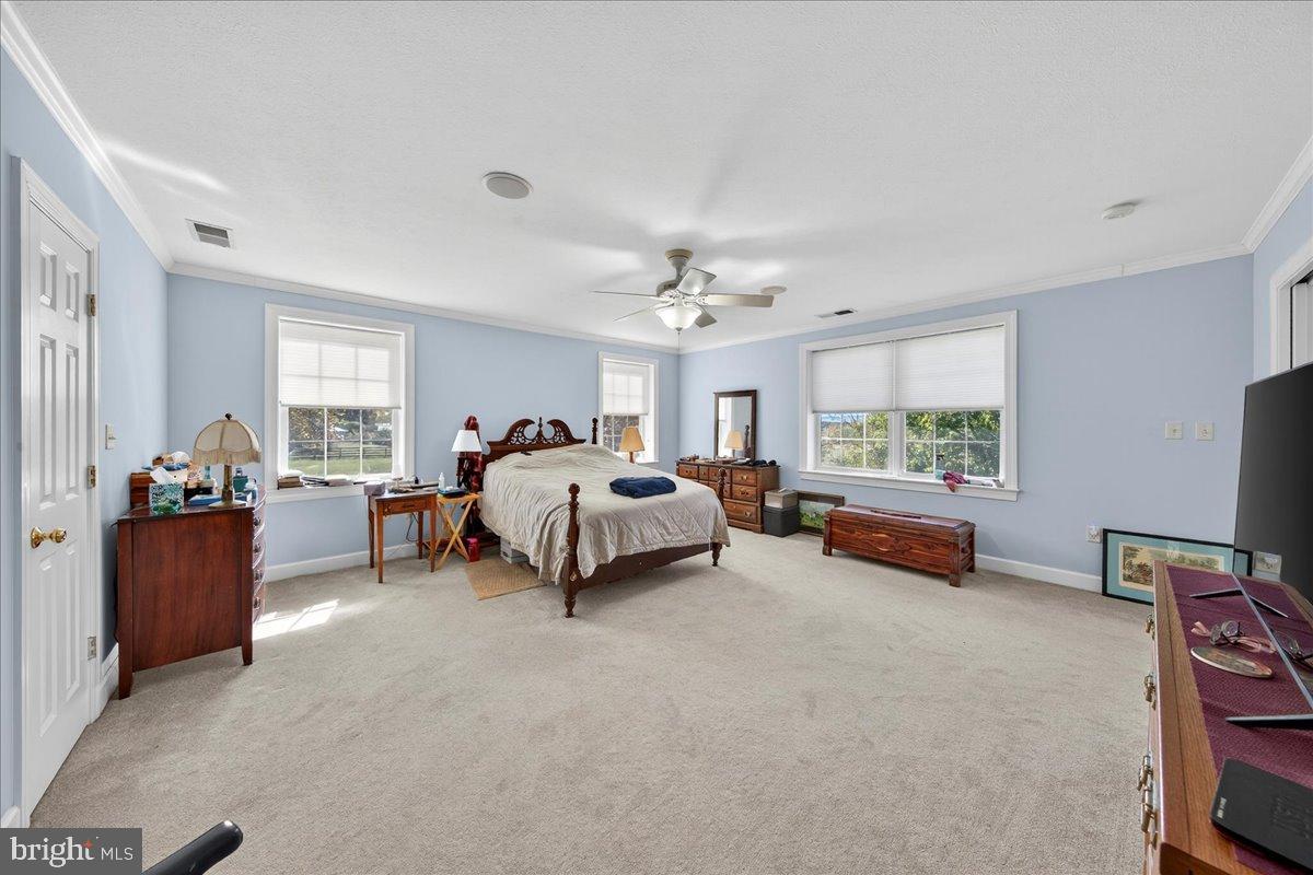 239 Mt Carmel Road Luray, VA 22835 - Photo 37 of 116 Spacious, serene master bedroom retreat.