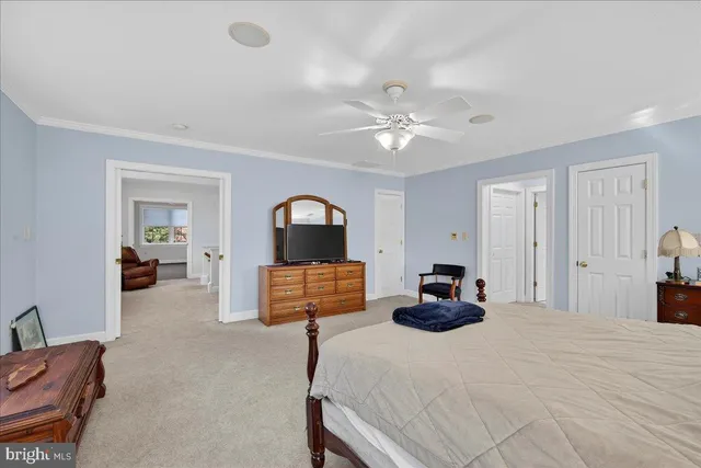 a view of a bench in a yard