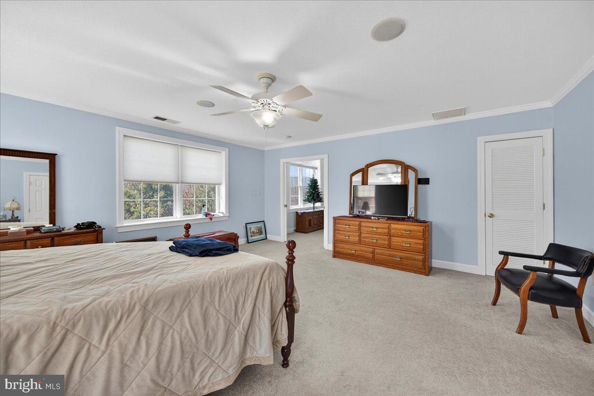 239 Mt Carmel Road Luray, VA 22835 - Photo 39 of 116 a bedroom with a bed a chandelier and a window