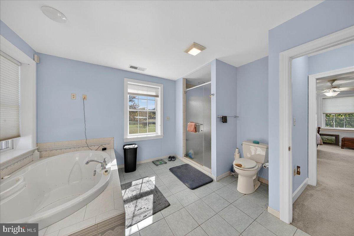 239 Mt Carmel Road Luray, VA 22835 - Photo 43 of 116 a spacious bathroom with a bathtub toilet and a shower