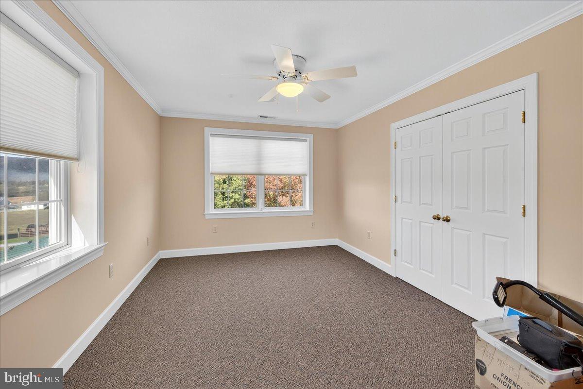 239 Mt Carmel Road Luray, VA 22835 - Photo 44 of 116 a view of an empty room with a window