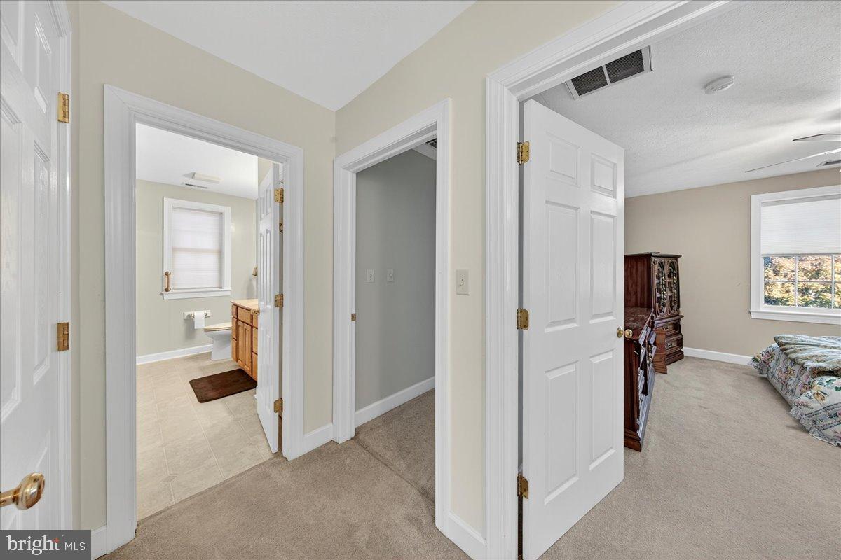 239 Mt Carmel Road Luray, VA 22835 - Photo 45 of 116 Inviting hallway connecting cozy spaces.