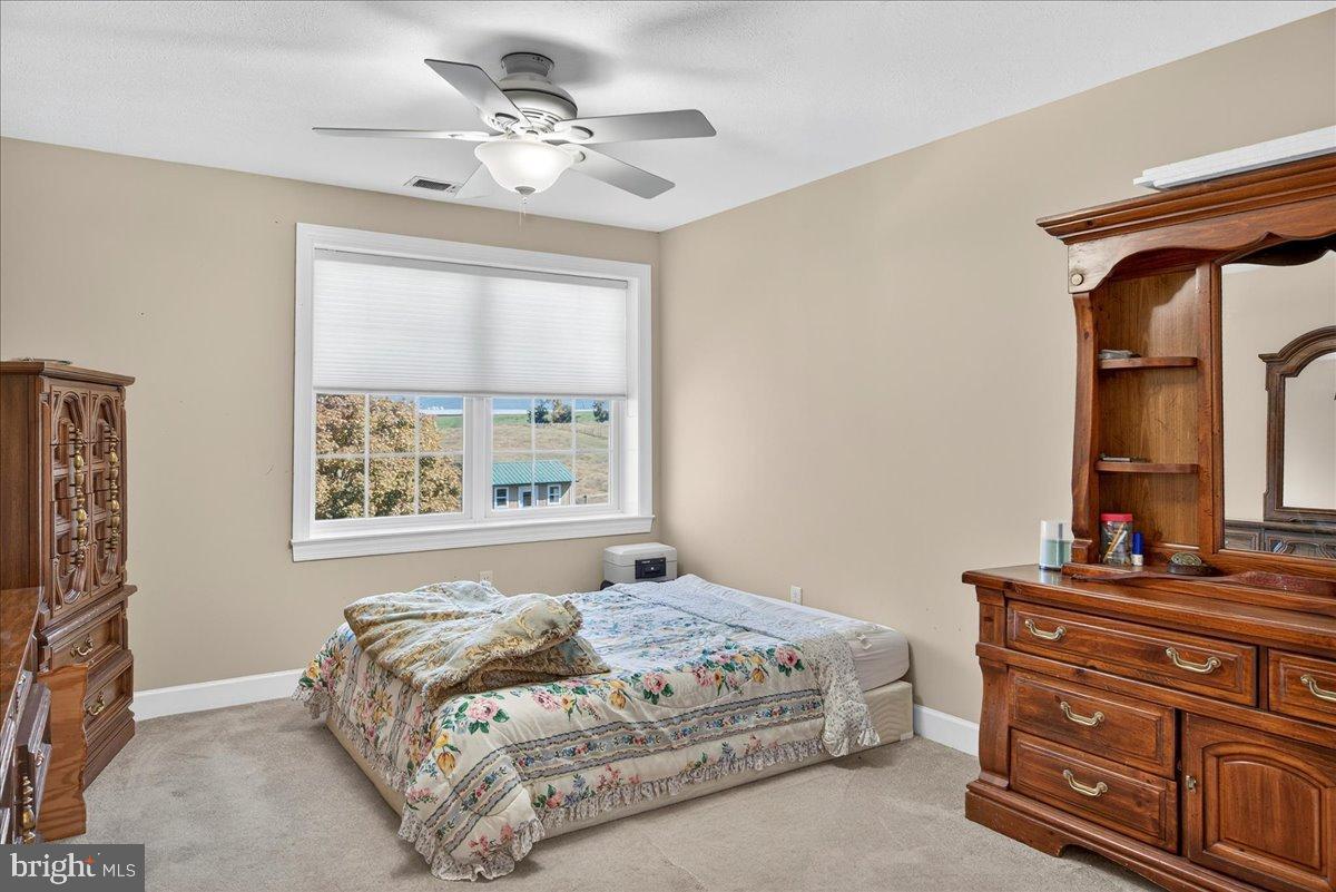239 Mt Carmel Road Luray, VA 22835 - Photo 46 of 116 a bedroom with a bed and a window