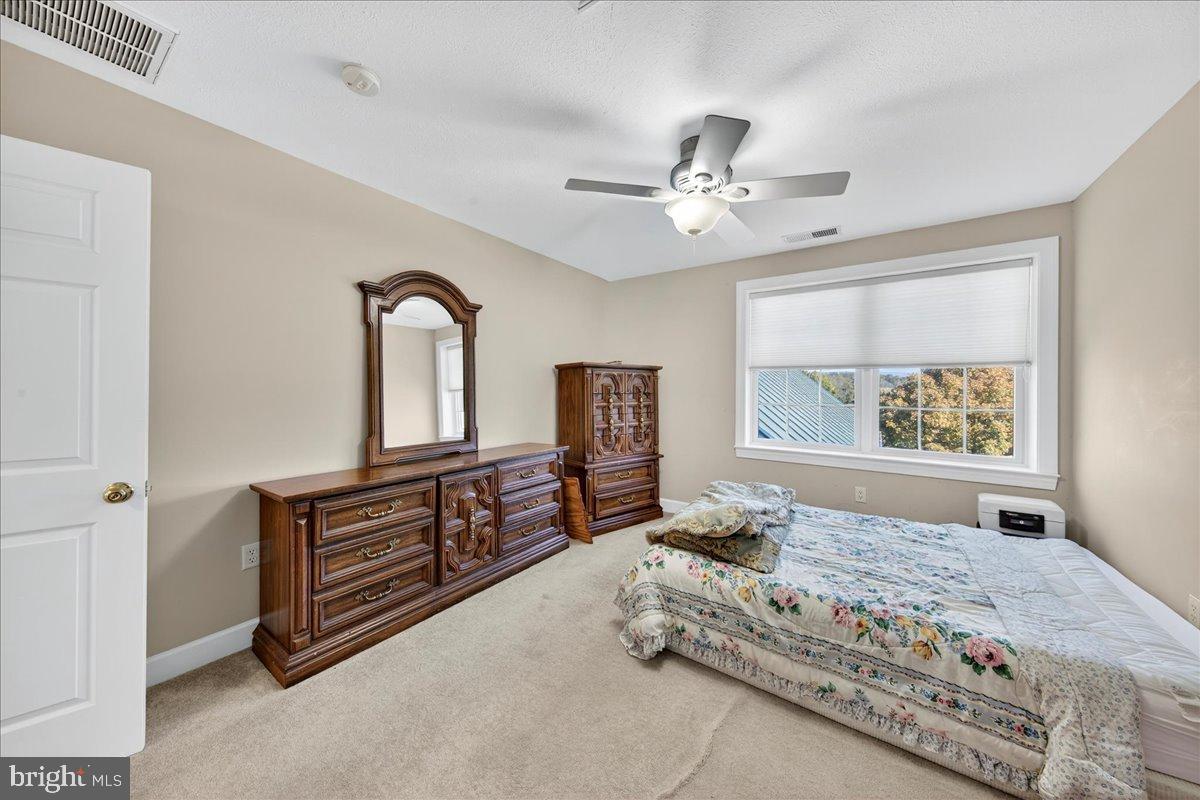 239 Mt Carmel Road Luray, VA 22835 - Photo 48 of 116 Bright and inviting bedroom with natural light.