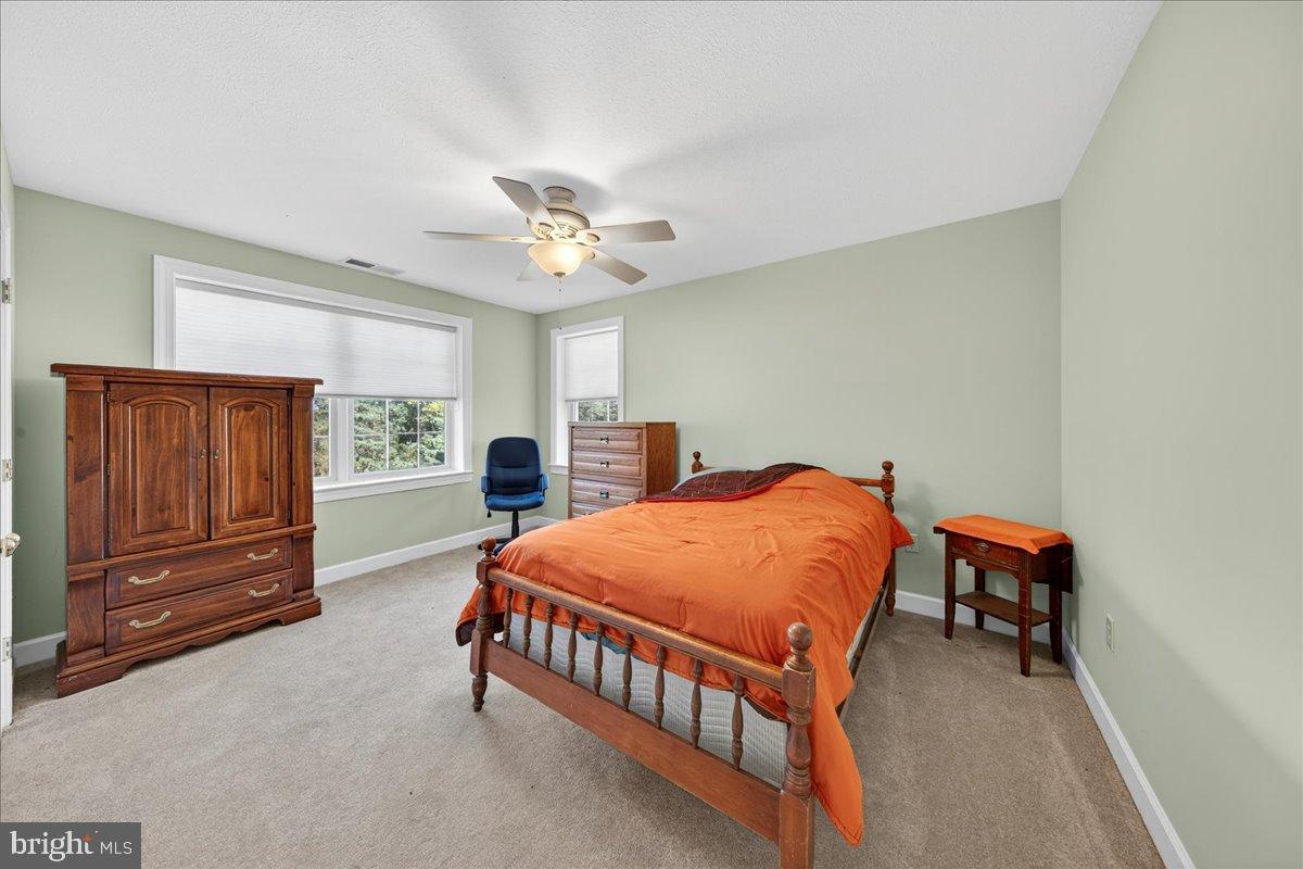 239 Mt Carmel Road Luray, VA 22835 - Photo 49 of 116 Bright and inviting bedroom retreat.