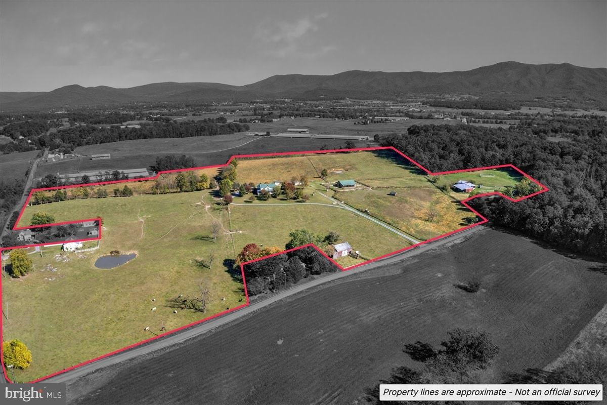 239 Mt Carmel Road Luray, VA 22835 - Photo 7 of 116 Expansive countryside estate with scenic views.