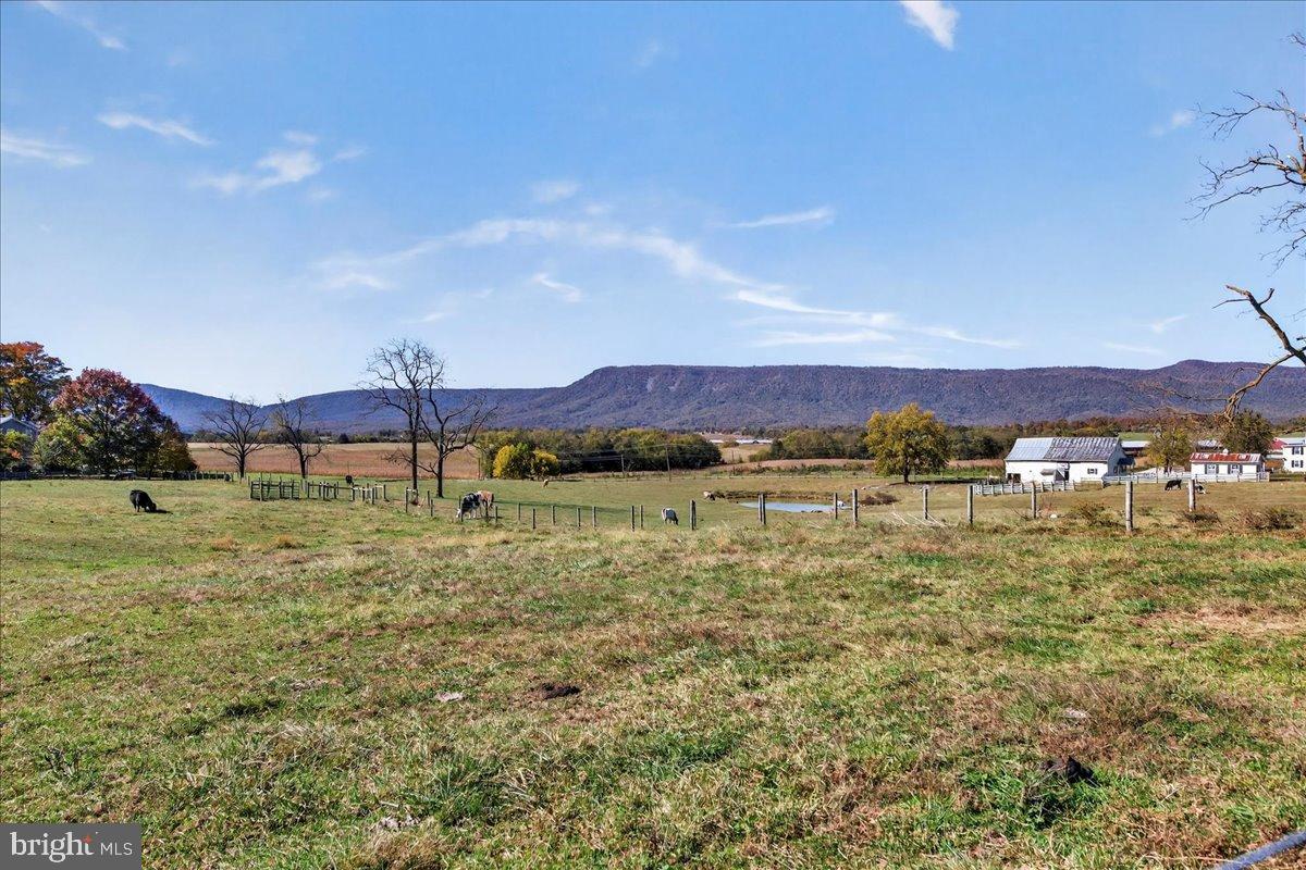 239 Mt Carmel Road Luray, VA 22835 - Photo 82 of 116 Serene countryside with rolling hills.