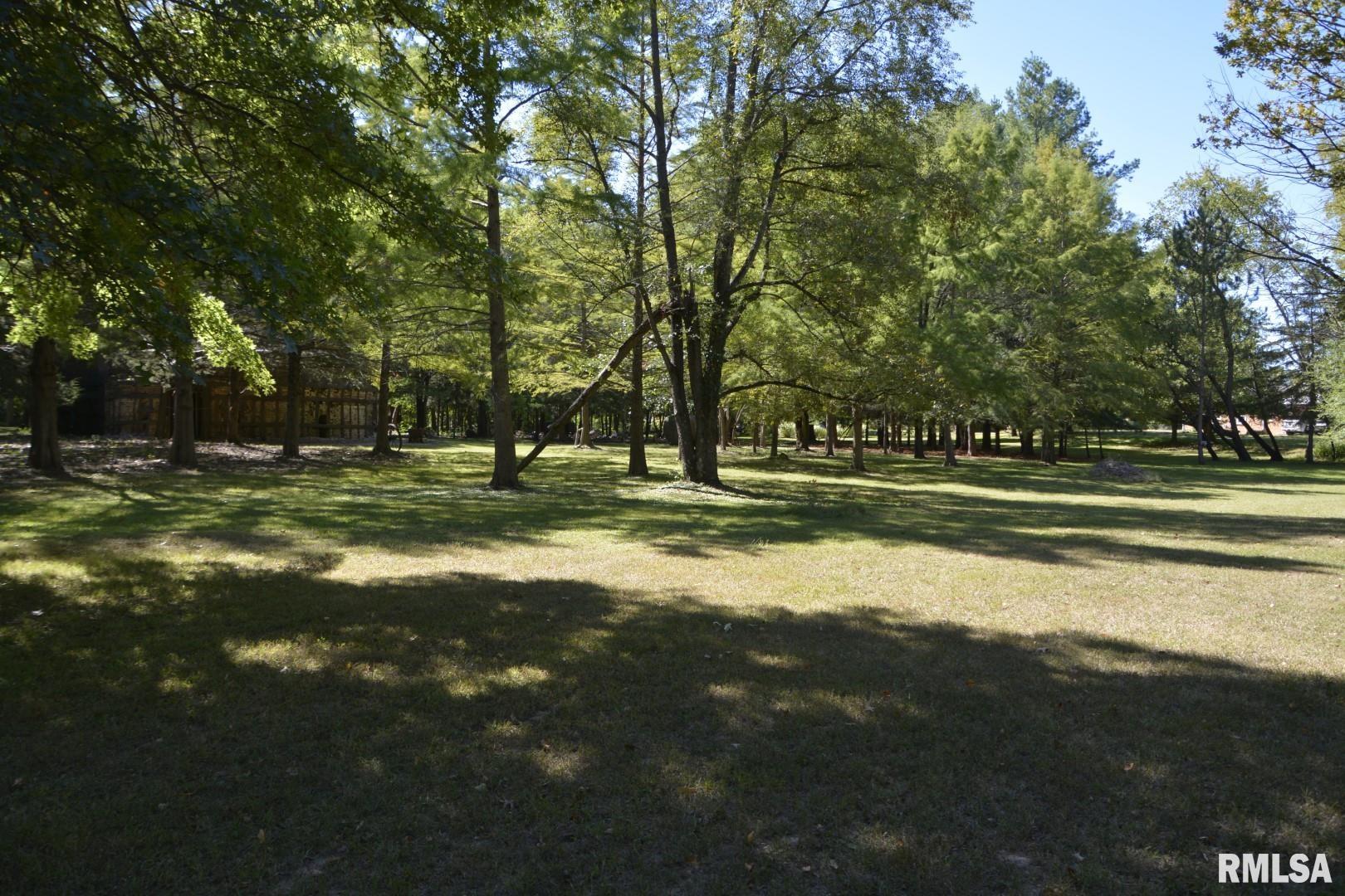 734 North Coal Street Colchester, IL 62326 - Photo 13 of 15