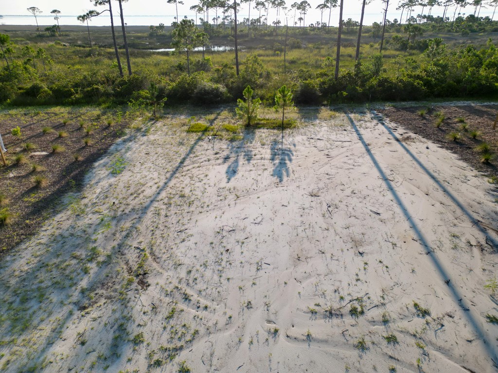 18 Shallow Reed Dr Port Street, Unit LOT 18 Port St. Joe, FL 32456 - Photo 6 of 12