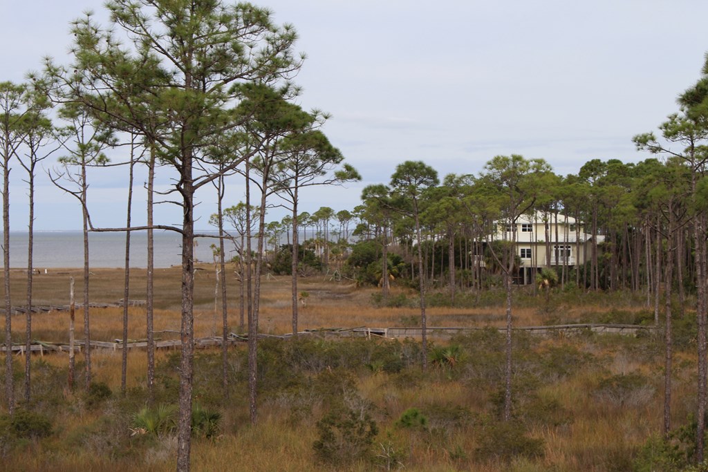 18 Shallow Reed Dr Port Street, Unit LOT 18 Port St. Joe, FL 32456 - Photo 7 of 12