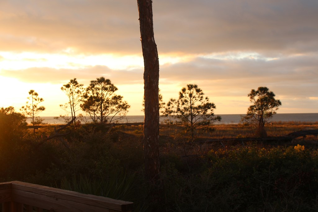 18 Shallow Reed Dr Port Street, Unit LOT 18 Port St. Joe, FL 32456 - Photo 8 of 12