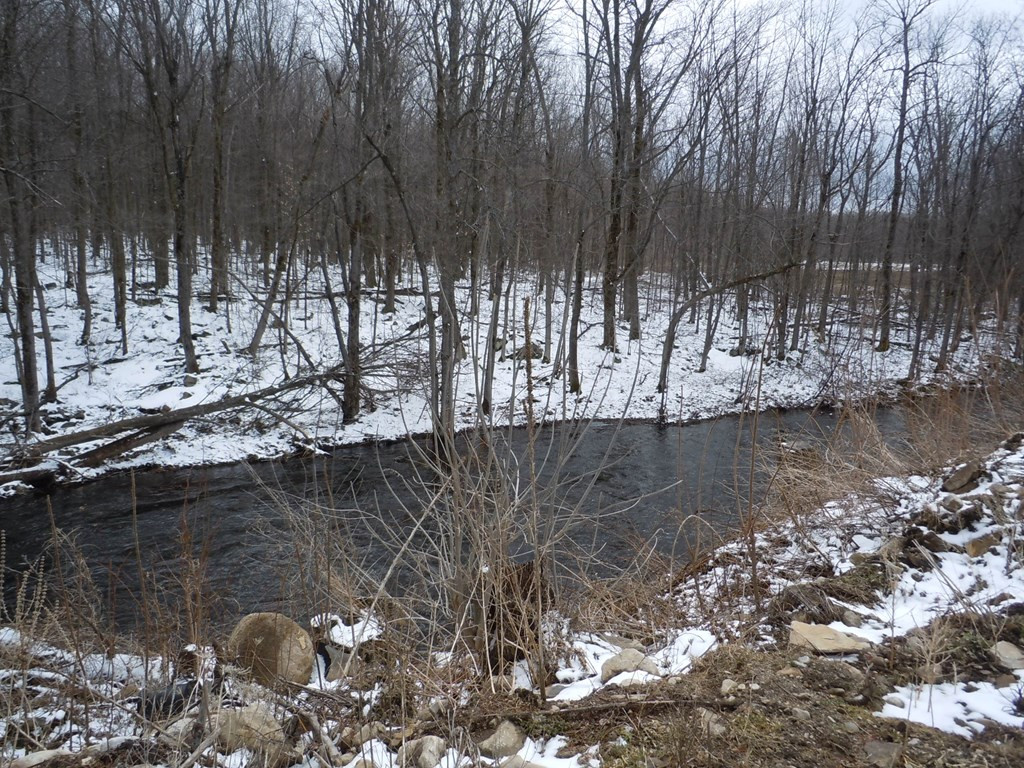 225 White Road Mooers Forks, NY 12959 - Photo 11 of 11 Gallery Image 11