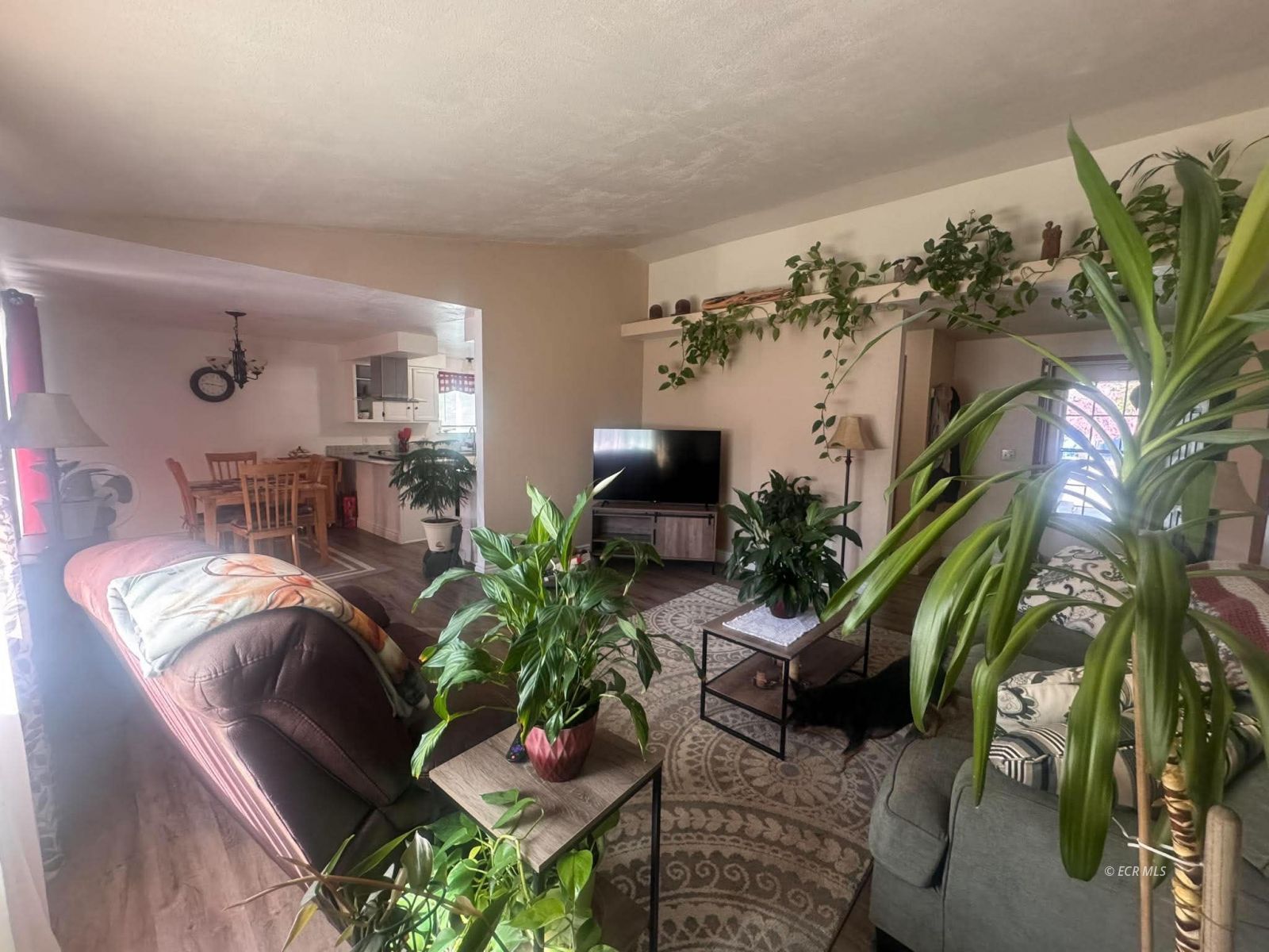 1523 Stitzel Road Elko, NV 89801 - Photo 6 of 31