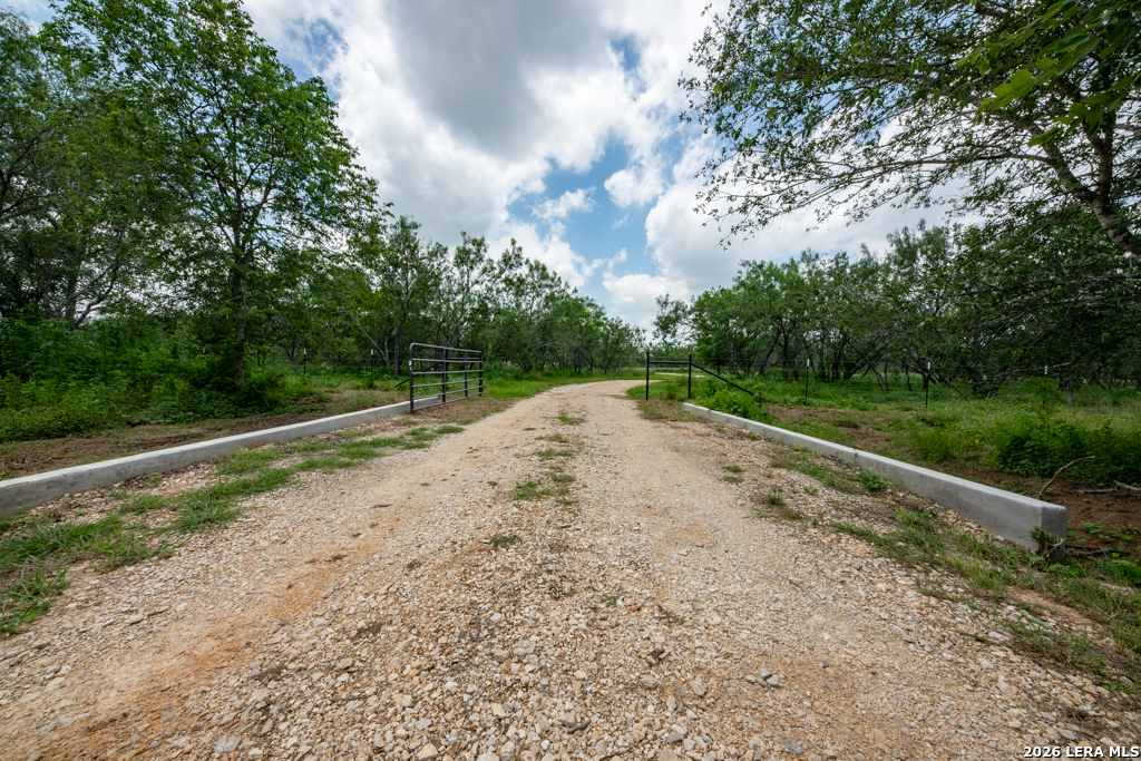 1393 Fox Trotter Road Seguin, TX 78155 - Photo 3 of 46