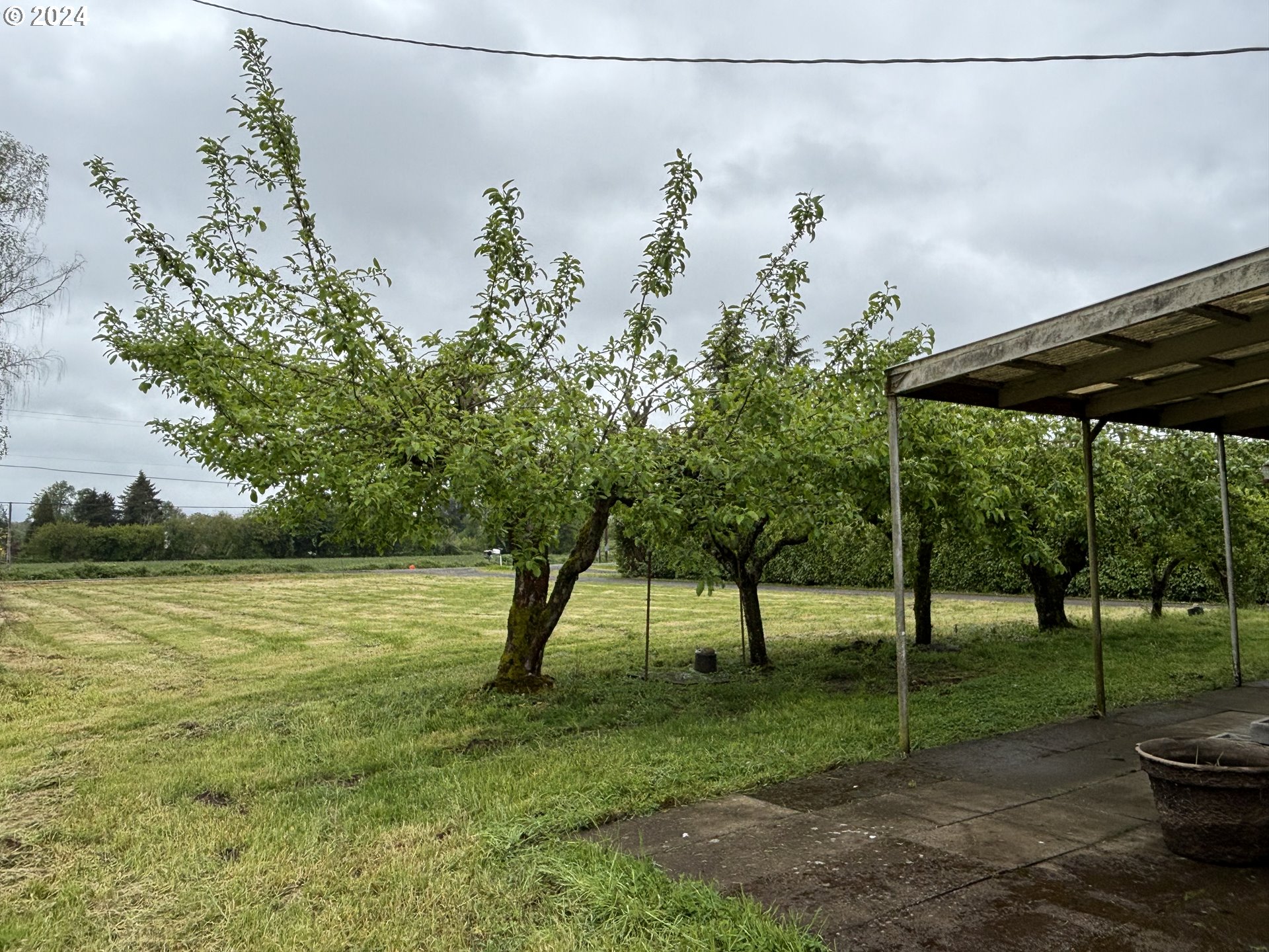 93090 River Road Junction City, OR 97448 - Photo 5 of 24 Front Yard