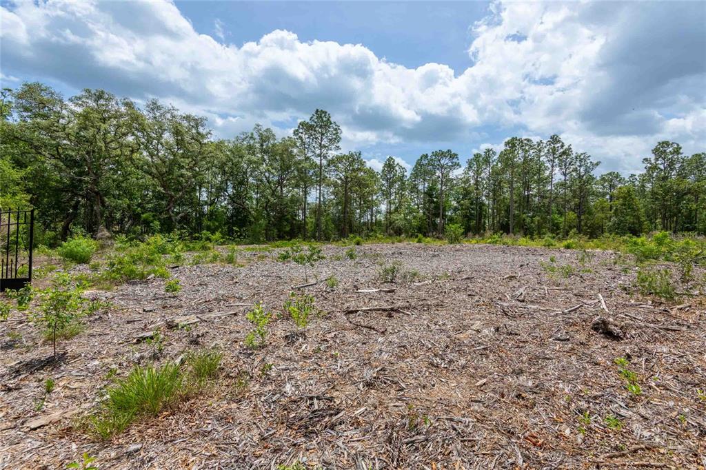 15022 Gar Street Spring Hill, FL 34609 - Photo 7 of 26 Gallery Image 7
