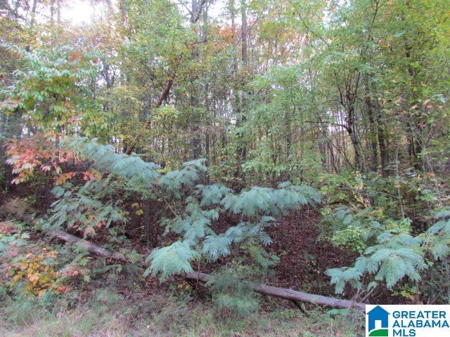 Acton Road, Unit 19A Moody, AL 35004 - Photo 3 of 3