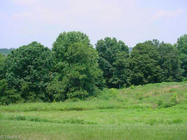 1866 Frans Road Westfield, NC 27053 - Photo 4 of 5 Other. backyard view
