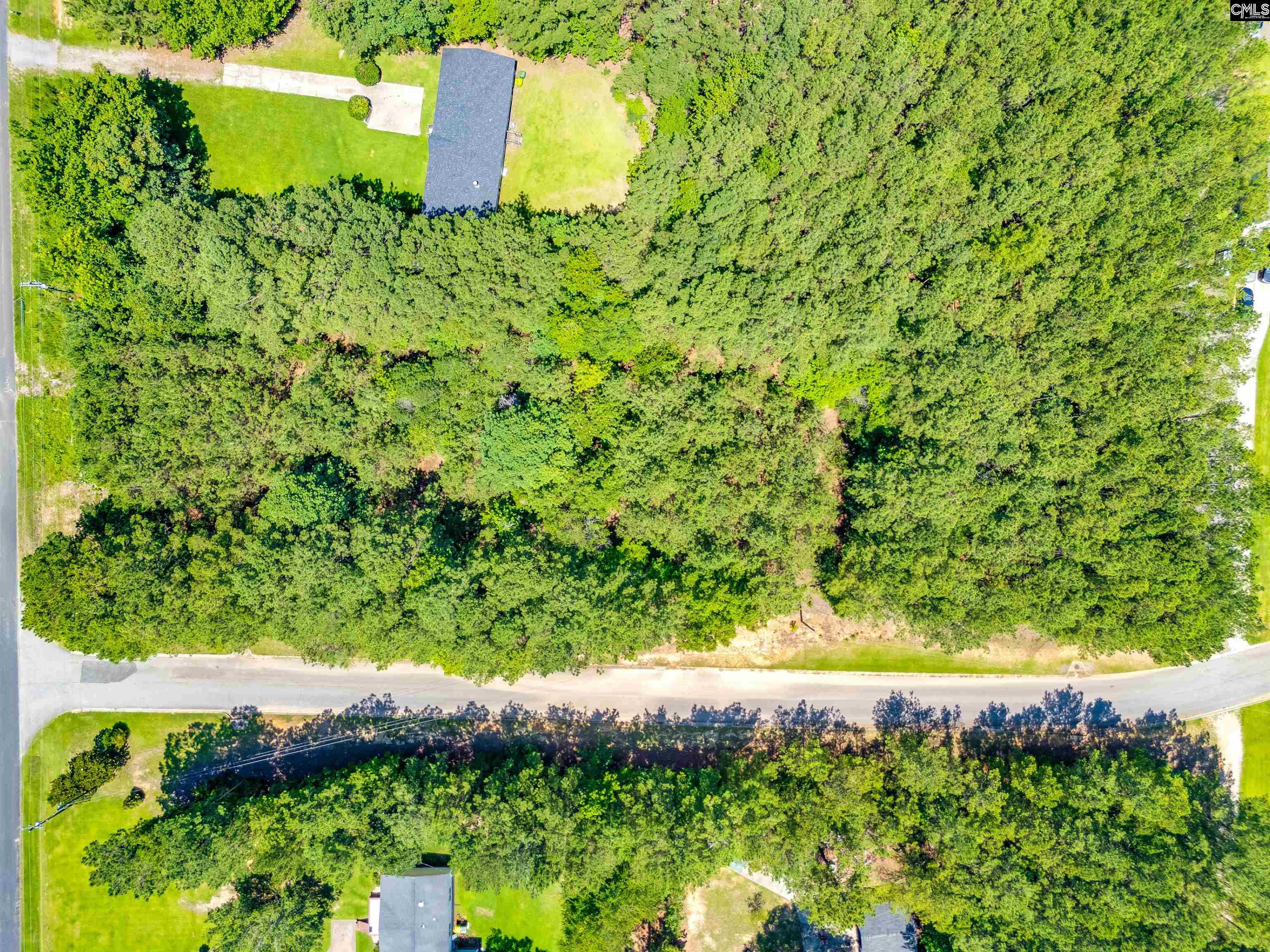 1021 State Rd S-40-1692 Blythewood, SC 29016 - Photo 10 of 12