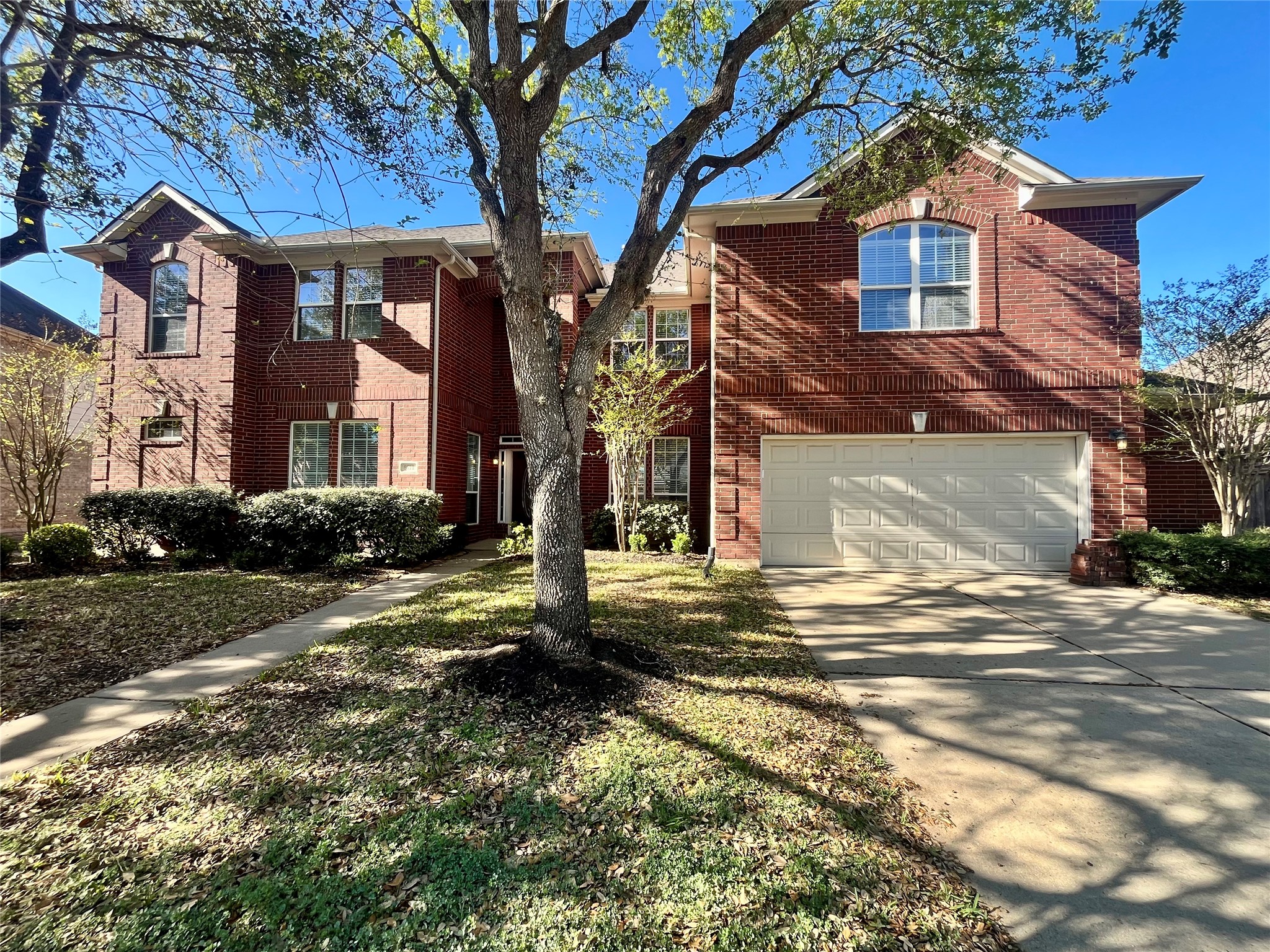 8610 Rising Oak Lane Katy, TX 77494 - Photo 14 of 46