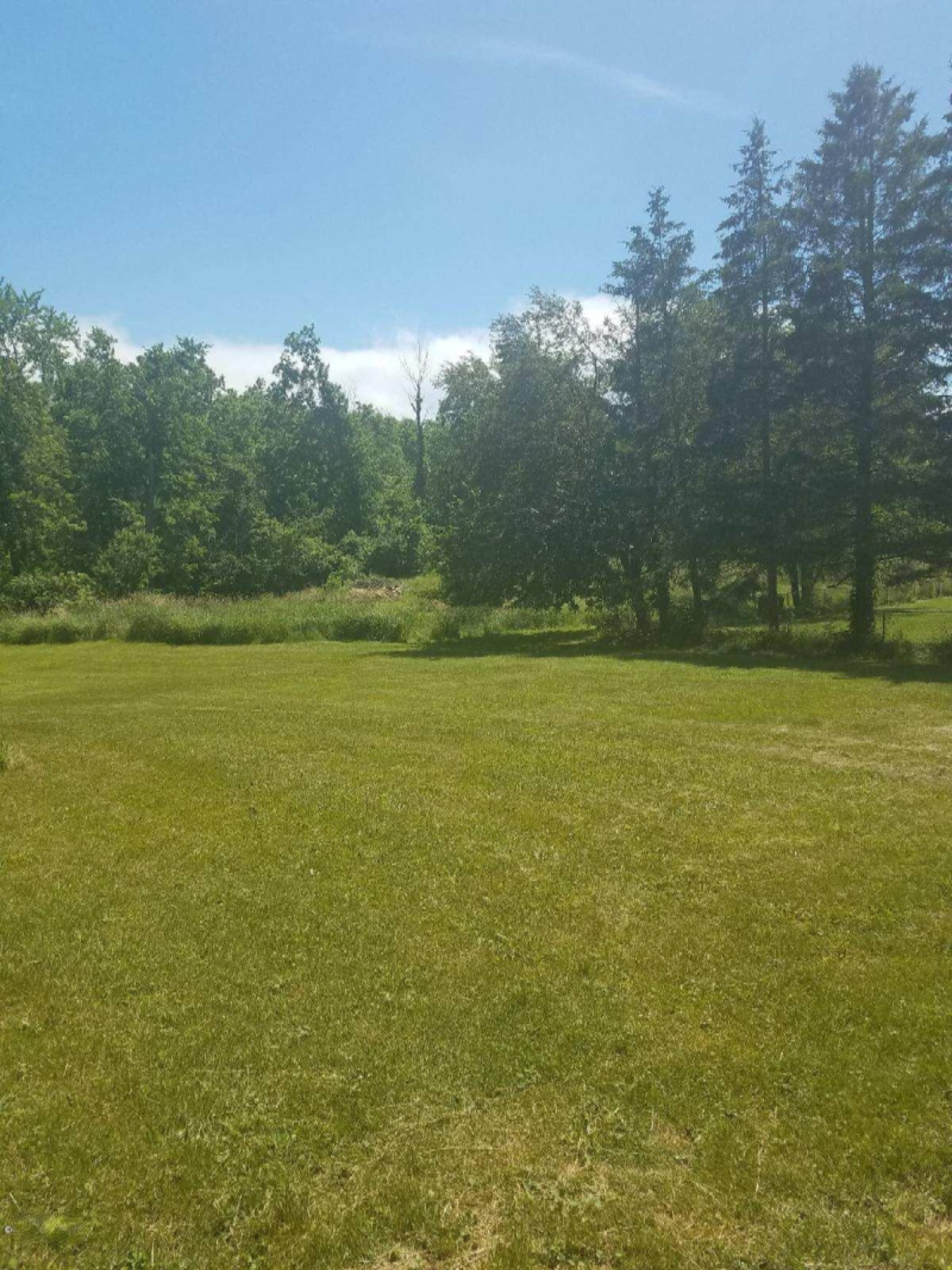 4380 East Snow Road Berrien Springs, MI 49103 - Photo 3 of 20 image