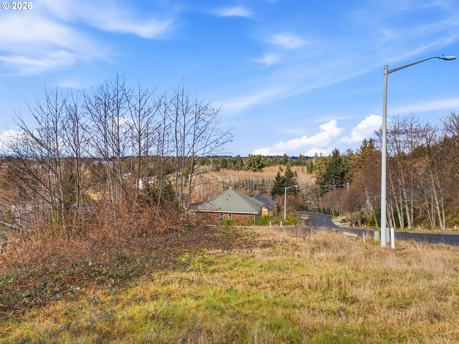 2285 North Fork Road Seaside, OR 97138 - Photo 18 of 22 a view of a yard with an trees