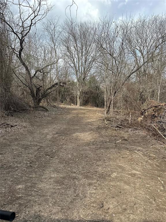 0 Sandswitch Road Ennis, TX 75119 - Photo 13 of 31 a view of dirt yard with trees