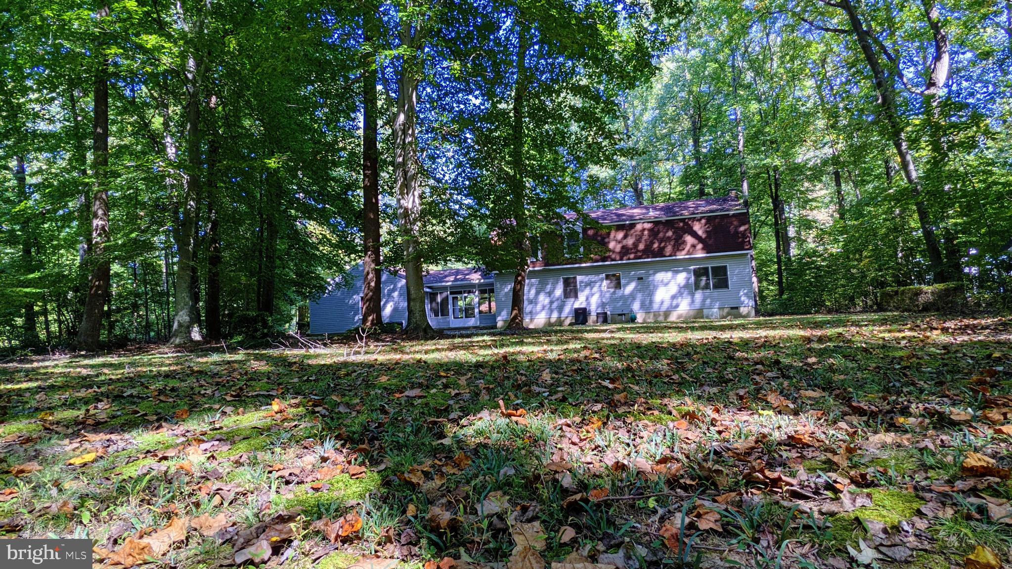 43307 Medleys Neck Road Leonardtown, MD 20650 - Photo 24 of 26 Backyard