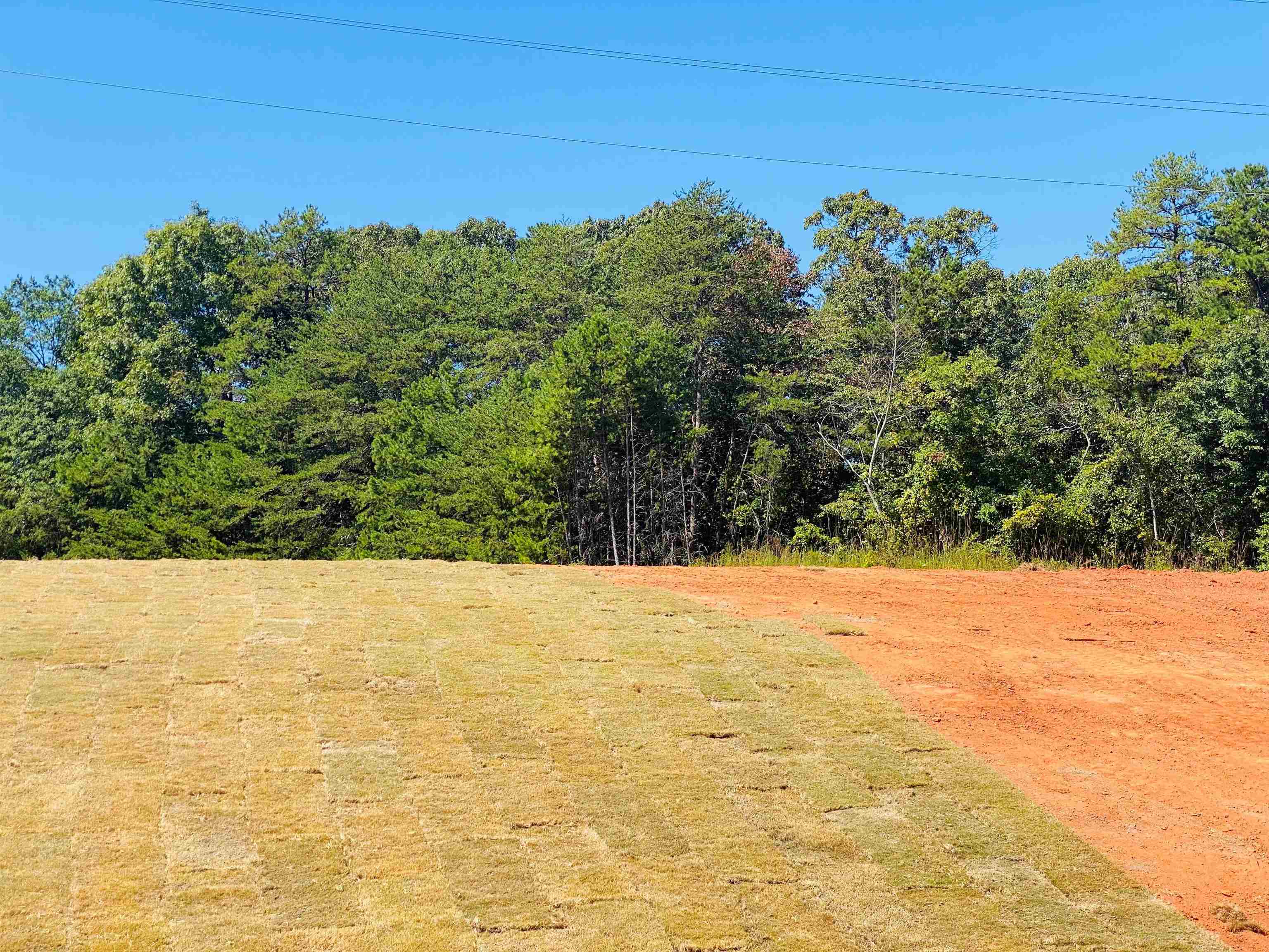 629 Morning Meadows Drive Inman, SC 29349 - Photo 3 of 27 Gallery Image 3