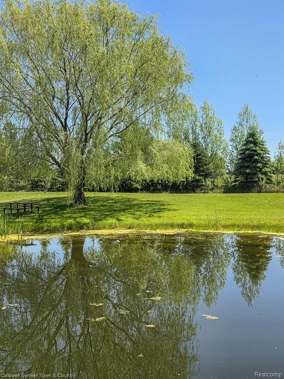 717 North Youngs Road Attica, MI 48412 - Photo 70 of 87