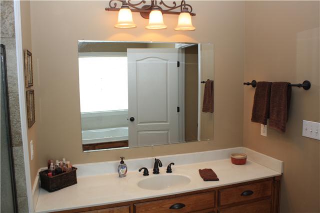 146 Slaughter Pen Road Ardmore, TN 38449 - Photo 15 of 18 Master Bath - Vanity
